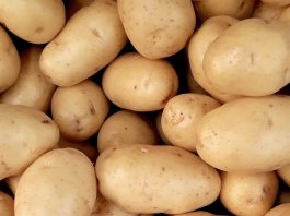 Raw Potatoes