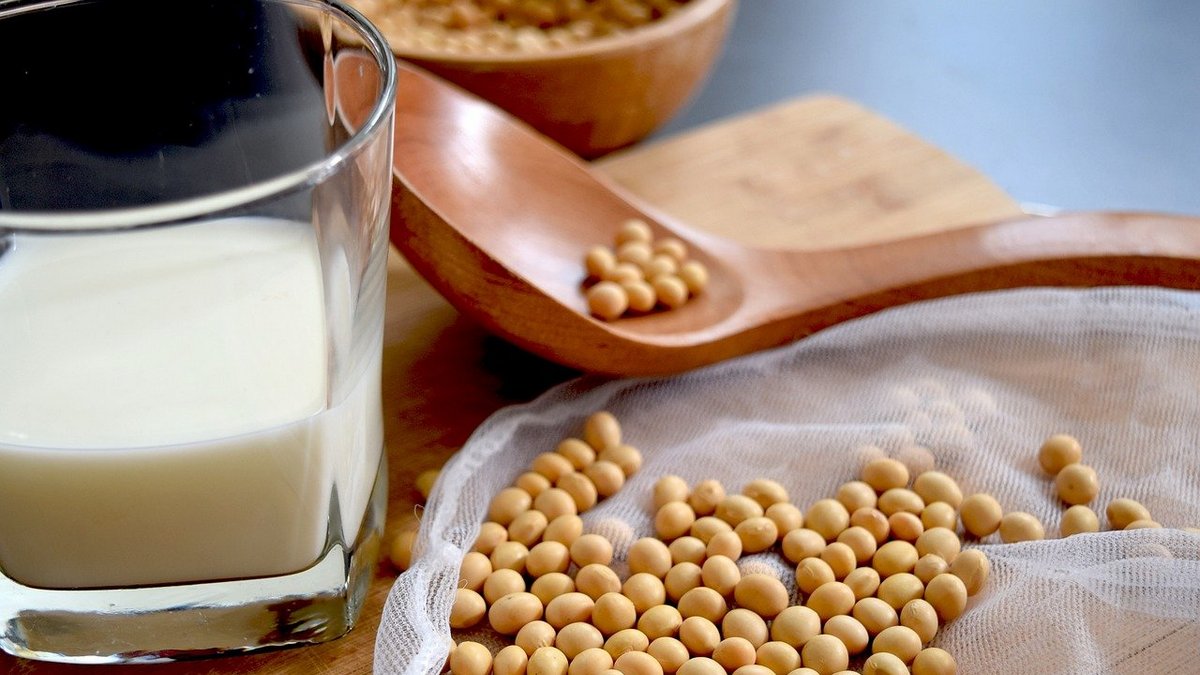 Making Soy Milk At Home