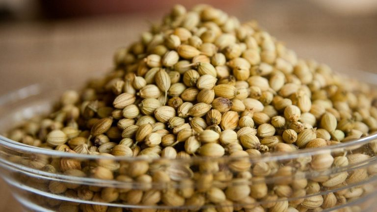 How To Grind Coriander Seeds At Home, And Why You Should!