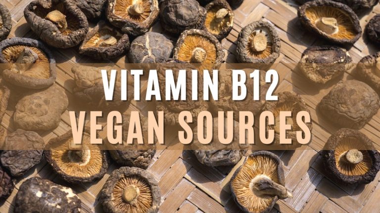 Vegan Sources of Vitamin B12