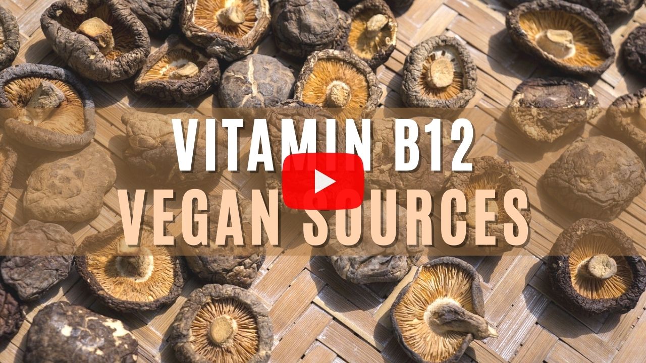 Vegan Sources of Vitamin B12 YouTube Video